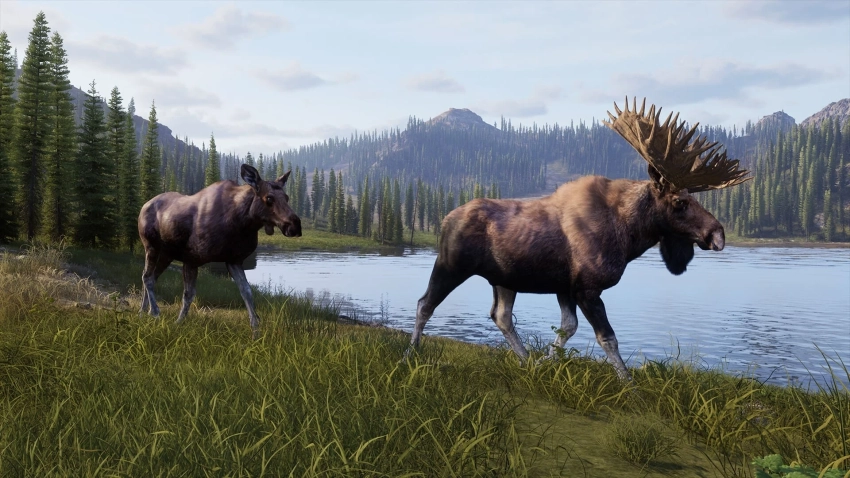 Симулятор охотника Way of the Hunter 2 получил свежий трейлер и дату выхода в раннем доступе